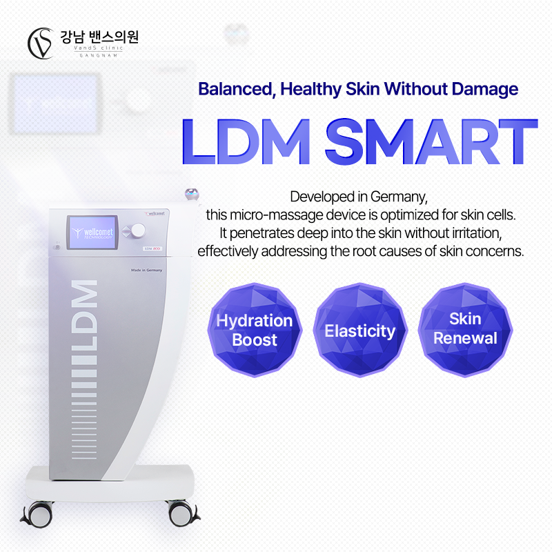 LDM Smart - VandS Suji